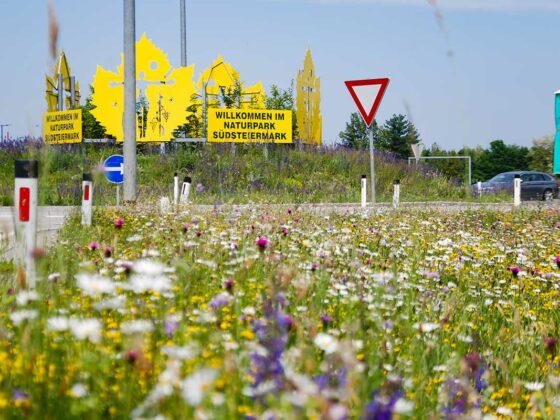 Regionale Wiesensaatgutvermehrung Südsteiermark